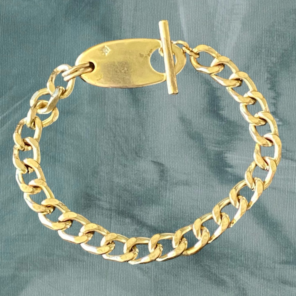 Host Pick Lucky Brand Toggle Link Bracelet